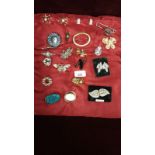 Selection Of Costume Brooches ect.