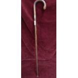 Silver Hall marked collard gents walking stick..