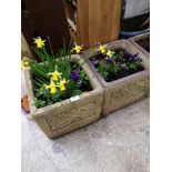 Pair of stone garden planters with flowers.