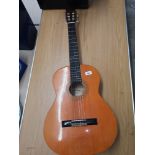 Horner acoustic guitar.