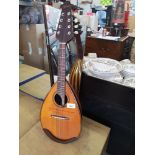 Tanglewood mandolin in very good condition.