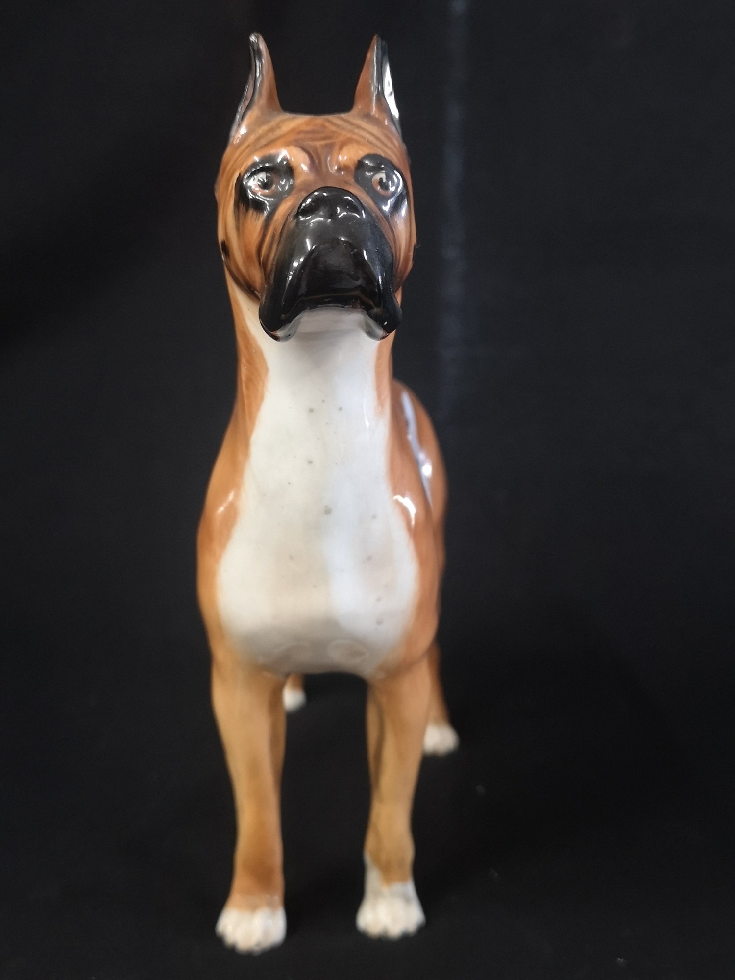 Early Royal Doulton Rare Champion Warlord of mazelaine Large dog figure HN 2643. - Image 2 of 5