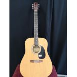 Eastwood acoustic guitar.