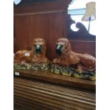 Large pair of victorian Bo'ness pottery lion s with glass eyes.