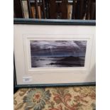 Shimmering light Print signed caroline cook.