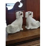 Pair of victorian wally dugs with glass eyes.