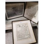 Vintage style Durham and Northumberland maps together with Hawk and the wild duck print .