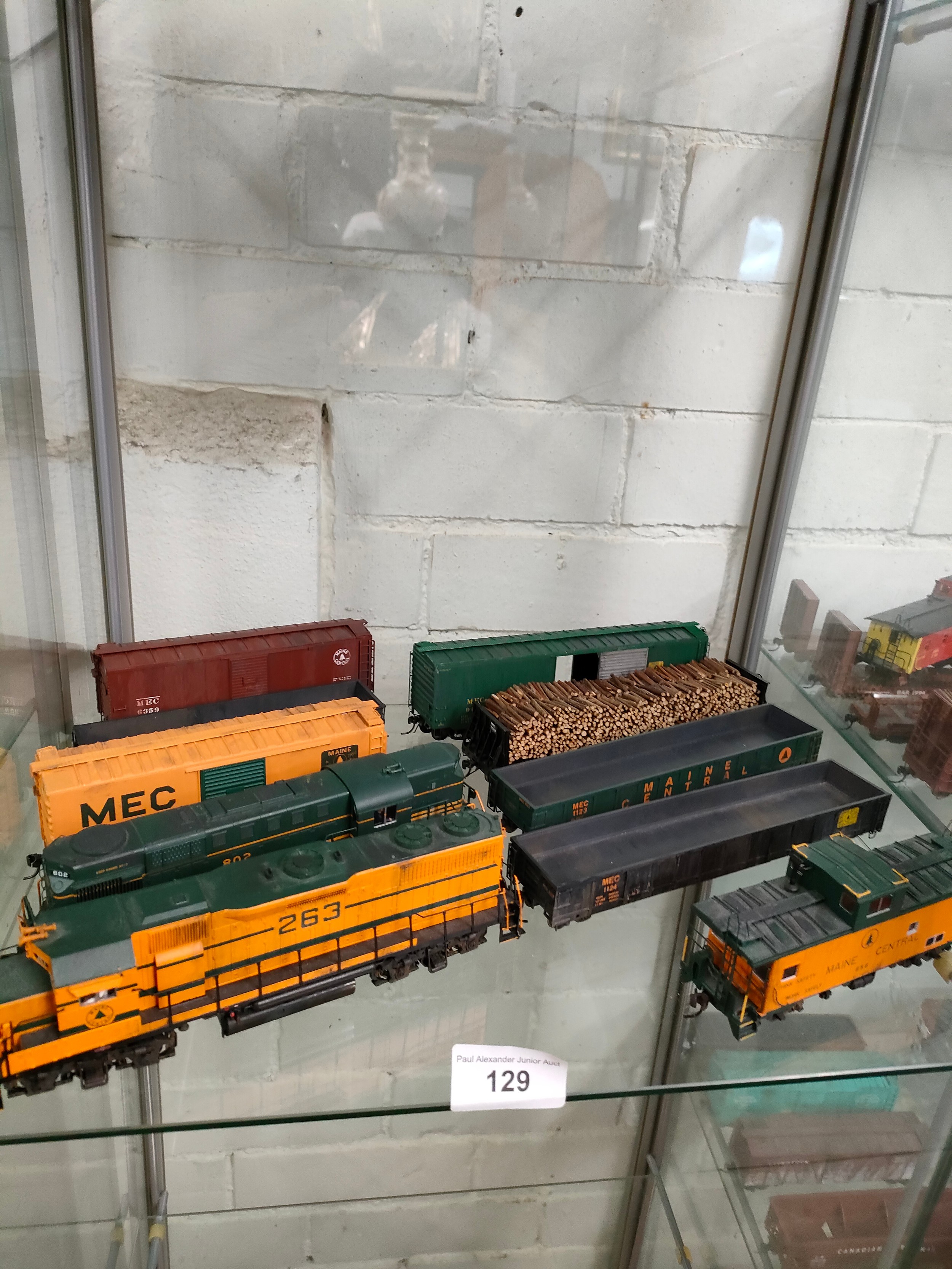 Canadian train 263 model together with rolling carriages.