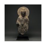 STUNNING GANDHARA SCHIST TORSO OF BUDDHA WITH HALO