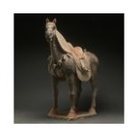 CHINA, HUGE TANG DYNASTY POTTERY HORSE - TL TESTED