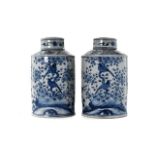 PAIR OF CHINESE BLUE AND WHITE JARS WITH BIRDS