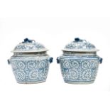 PAIR OF LARGE CHINESE BLUE AND WHITE PORCELAIN JARS