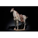 HUGE CHINESE TANG DYNASTY TERRACOTTA HORSE - TL TESTED