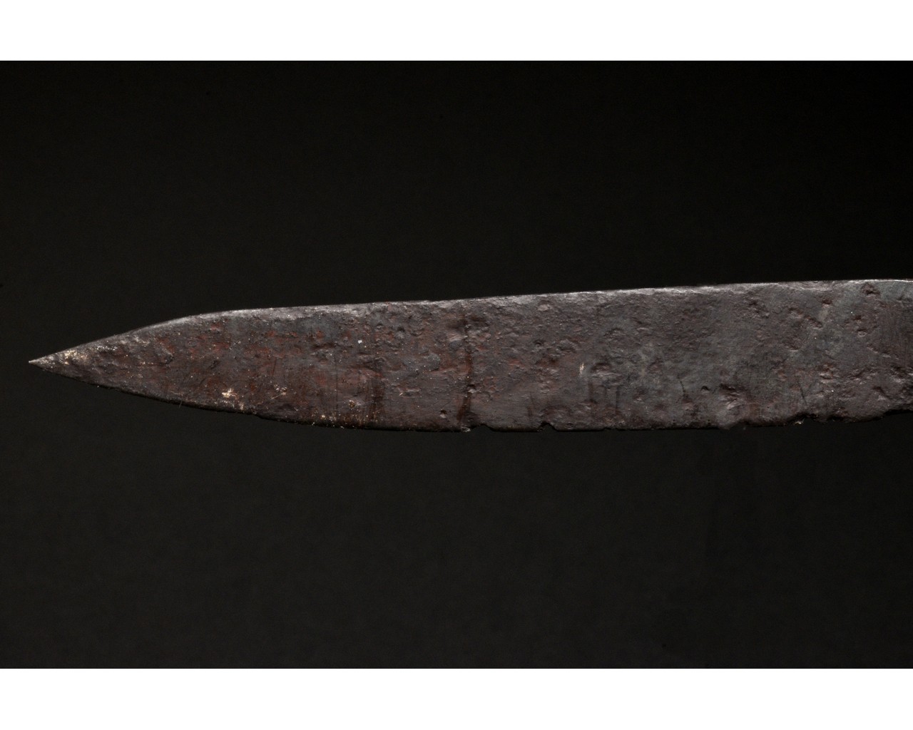 MEDIEVAL BATTLE KNIFE WITH DRAGON BONE HANDLE - Image 8 of 8