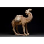 CHINESE TANG TERRACOTTA CAMEL