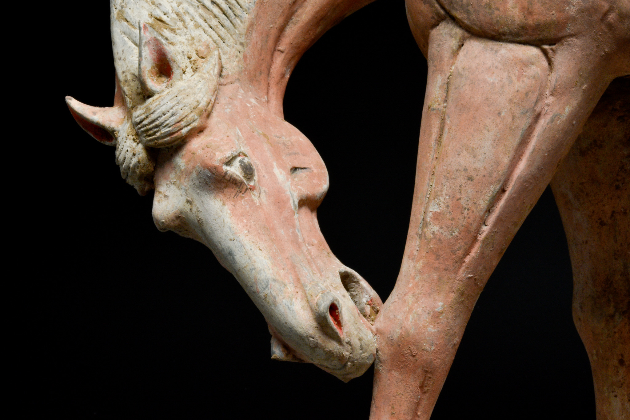 CHINESE TANG DYNASTY TERRACOTTA HORSE - TL TESTED - Image 4 of 7