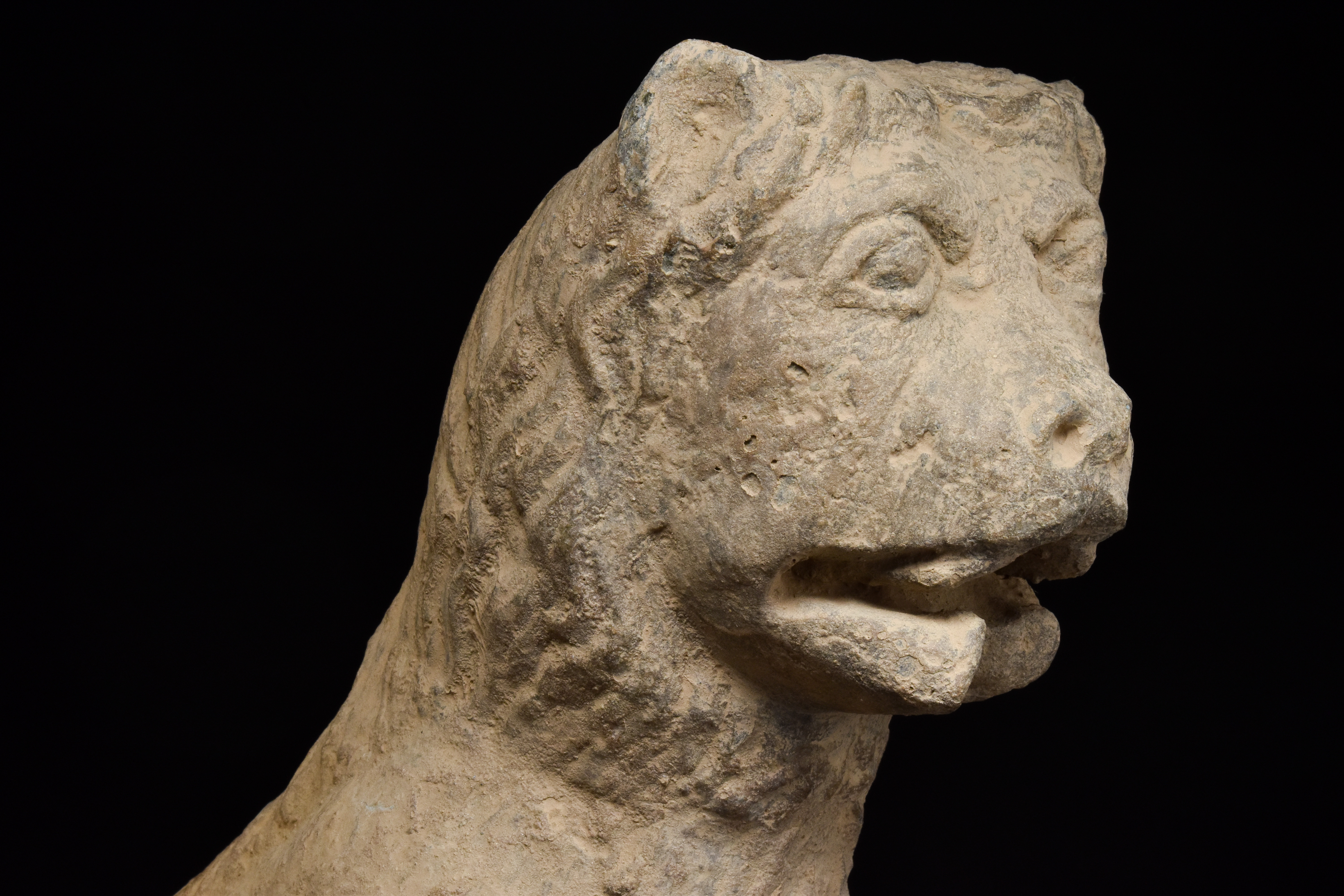 GANDHARAN SCHIST STONE LION - Image 4 of 4