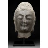 CHINESE TANG DYNASTY HEAD OF BUDDHA