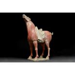 CHINESE TANG DYNASTY TERRACOTTA HORSE - TL TESTED