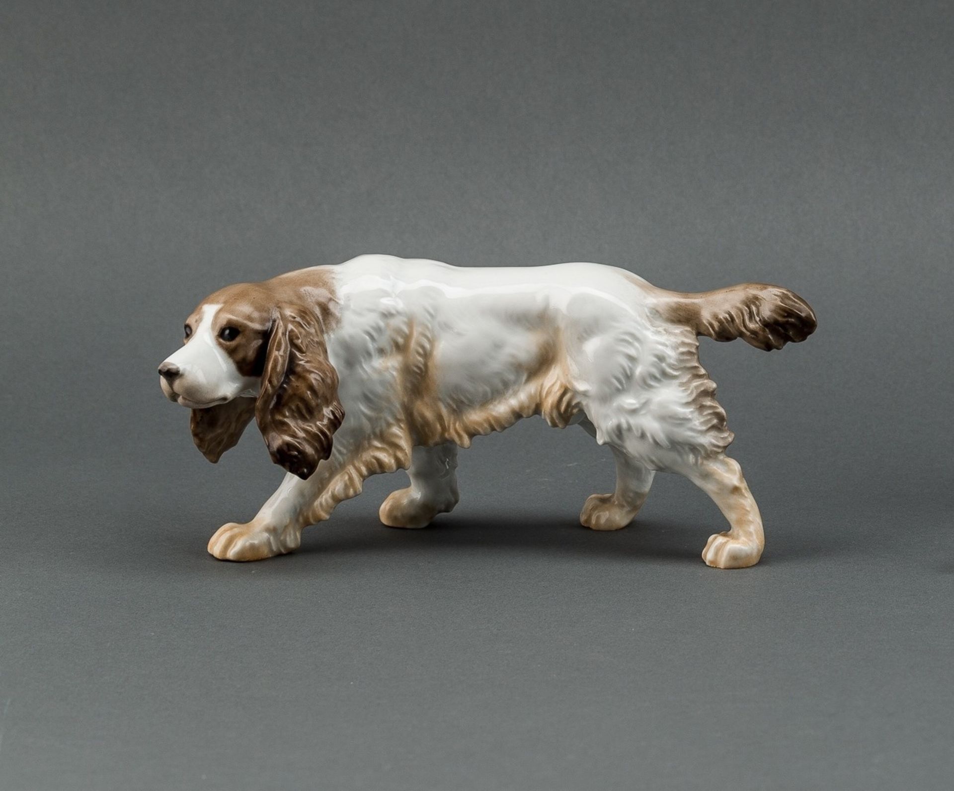 English Setter