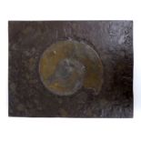 Schieferplatte mit Ammonit