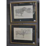 Two monochrome limited edition prints of longhorn cattle, with publishers back stamps and