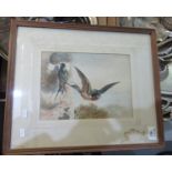 British school 20th century studies of birds with chicks, possibly a sparrow hawk. Framed and