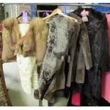 Two fur coats in dark grey and dark brown and three fur stoles including two different colours of