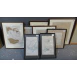 A collection of framed maps of South West Wales including; Carmarthen, Tenby, Narberth, Cardigan,