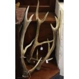 Pair of antlers, and another. (3) (B.P. 21% + VAT)