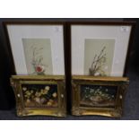 Pair of modern coloured botanical prints, framed, together with a pair of modern prints laid on