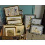 Collection of Furnishing pictures and prints to include botanical studies, topographical, still life