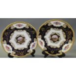 Pair of late 19th Century Coalport cabinet plates having gilded foliate and hand painted floral
