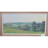 George Chapman (20th Century Welsh), a mid Wales landscape, signed, oils on board. 24 x 50cm approx.