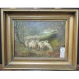 Joseph Denovan Adams (British 1841-1896), 'Sheep beneath tree', signed, oils on canvas. 26 x 36cm