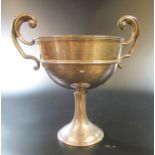 George V silver two handled presentation trophy cup 'Presented to W. Osborn Bird Allen from the