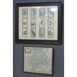Mounted set of ornithological cards, framed and glazed, together with Robert Morden, an original map