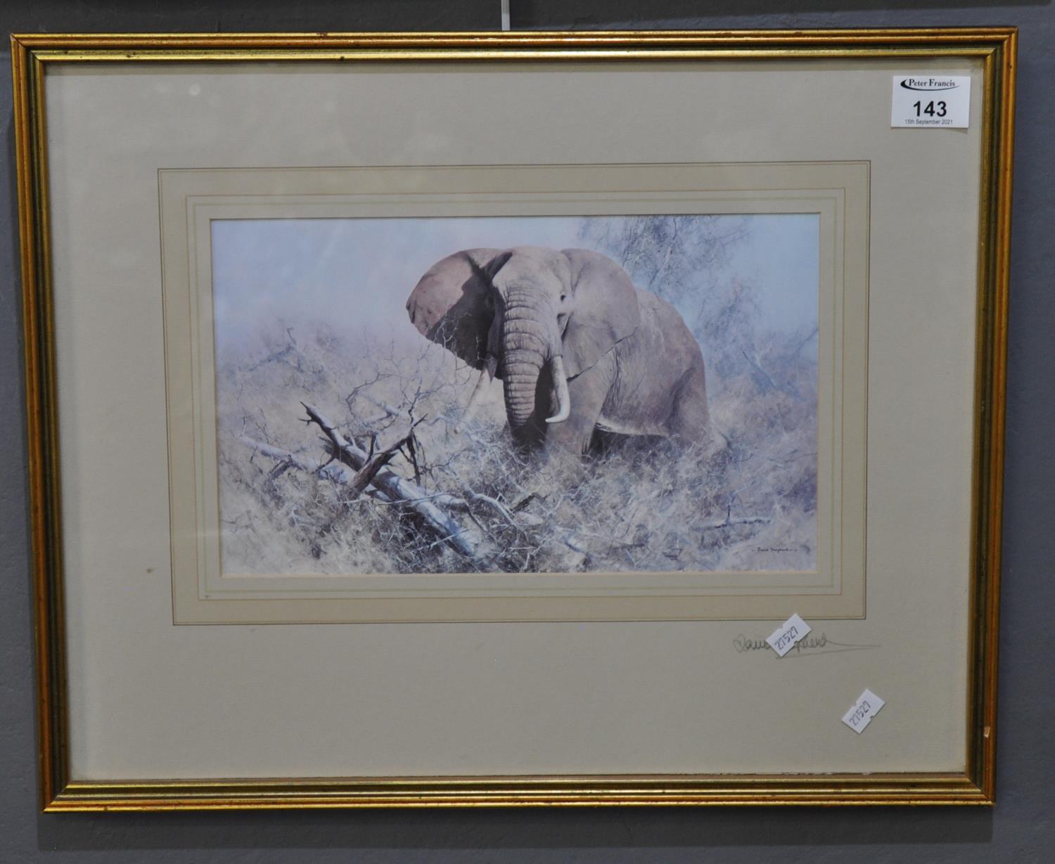 After David Shepherd, African Elephant, coloured print, signed in pencil by the artist. 18 x 30cm