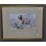 After David Shepherd, African Elephant, coloured print, signed in pencil by the artist. 18 x 30cm