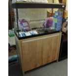 Fluval tropical fish tank on stand, the interior revealing various accessories to include;