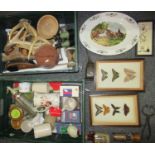 Two boxes of assorted items to include: two small glass cases containing mounted butterflies, oval