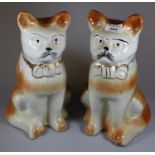 Pair of Staffordshire pottery fireside seated cats with bows and painted features. (B.P. 21% + VAT)