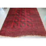 Middle Eastern design red ground carpet with stylised flower heads and geometric decoration. 406 x