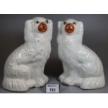 Pair of seated Staffordshire fireside spaniels with painted features. (B.P. 21% + VAT)