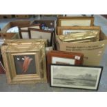 Two boxes of furnishing prints, mostly modern, to include: flower studies, hunting dog studies,