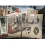 Selection of erotica with old album of outdoor nude photos, various postcards and studio type