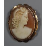 Oval carved shell cameo brooch set in a 9ct gold frame. (B.P. 21% + VAT)
