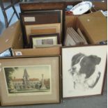 Box of furnishing pictures to include: floral studies, bird studies, original etching of Dulwich