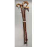 Collection of walking sticks, two with silver collars. (B.P. 21% + VAT)
