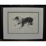 Sir John 'Kyffin' Williams RA (Welsh 1918-2006), study of an alert collie dog, signed with initials,